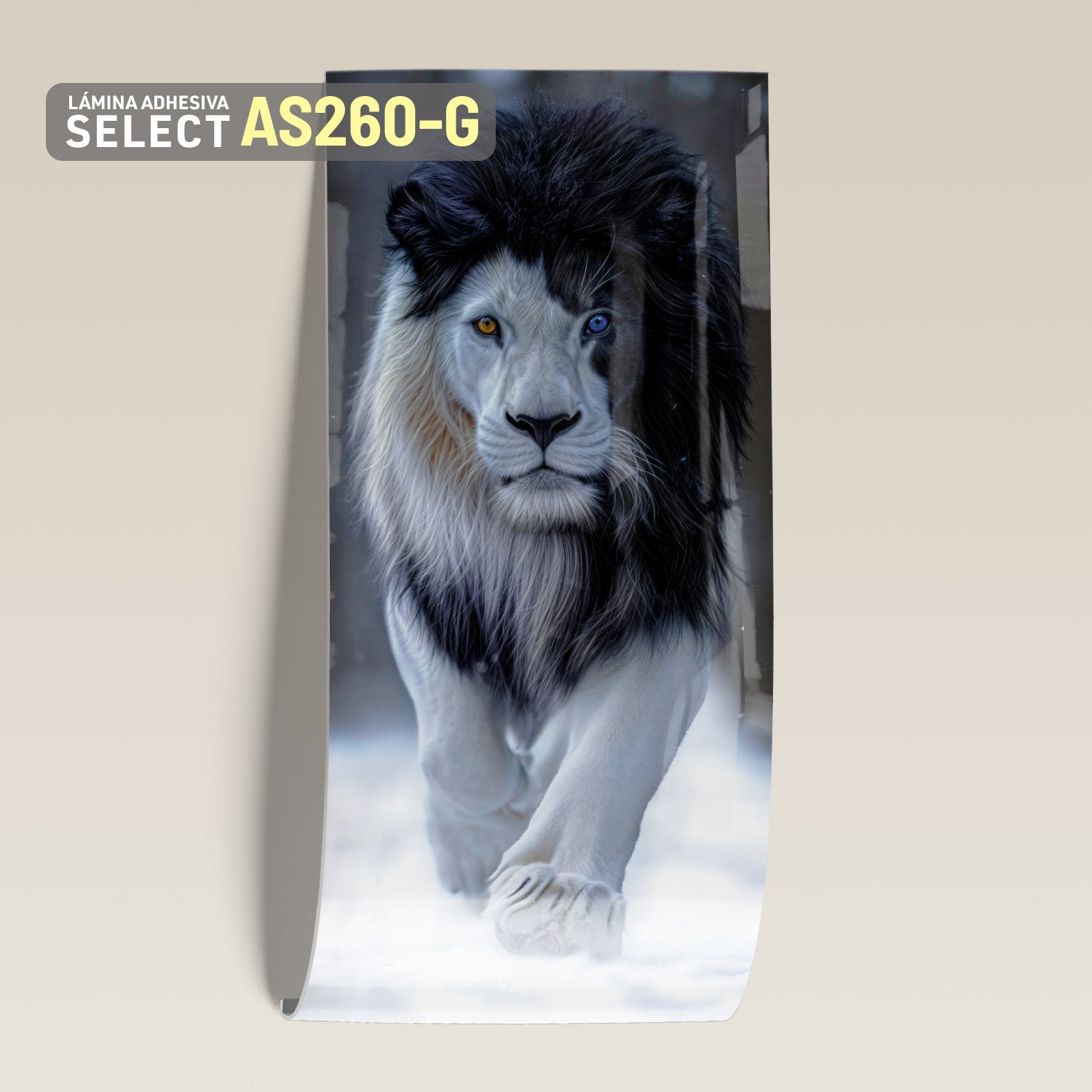 Lámina Adhesiva Select AS260-G