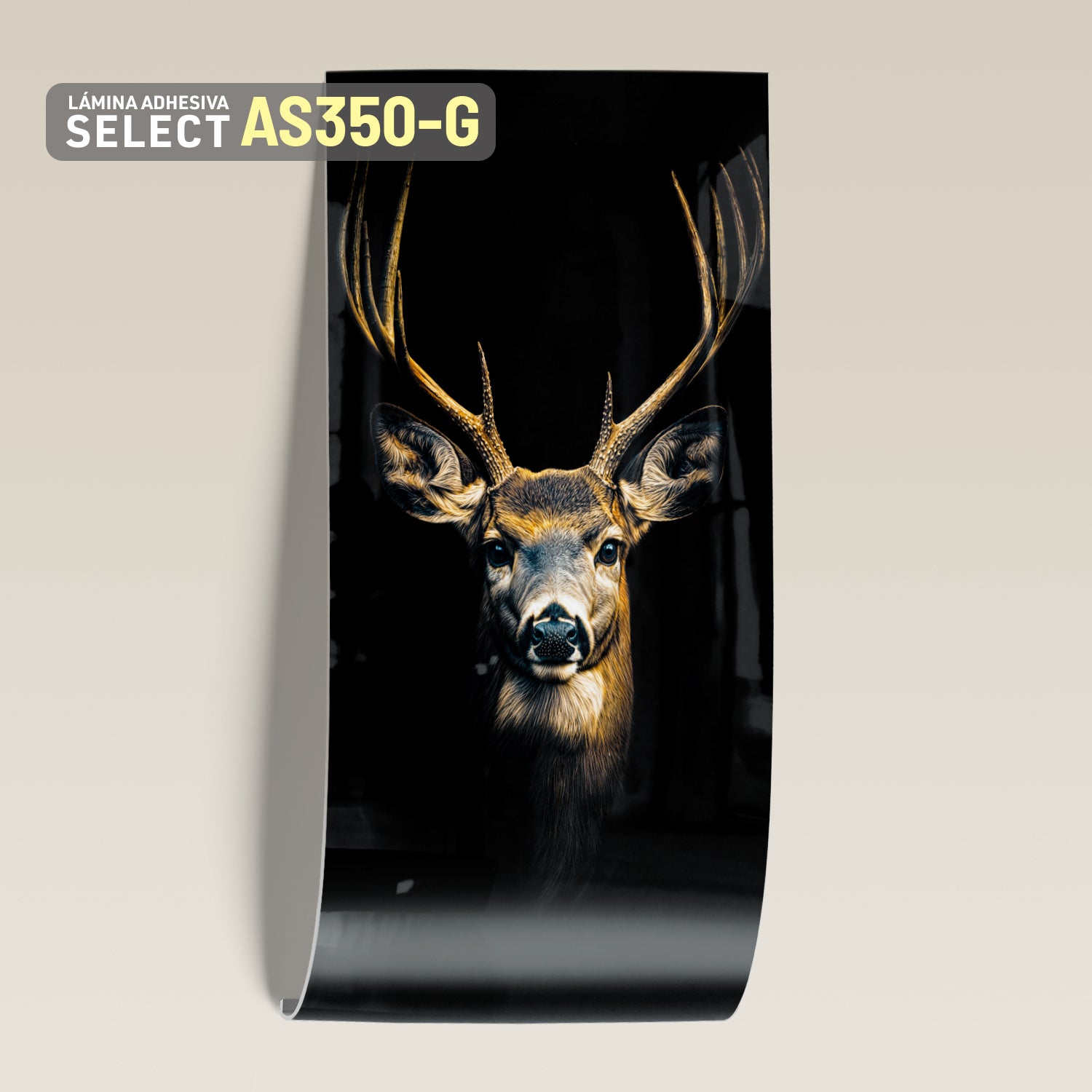 Lámina Adhesiva Select AS350-G