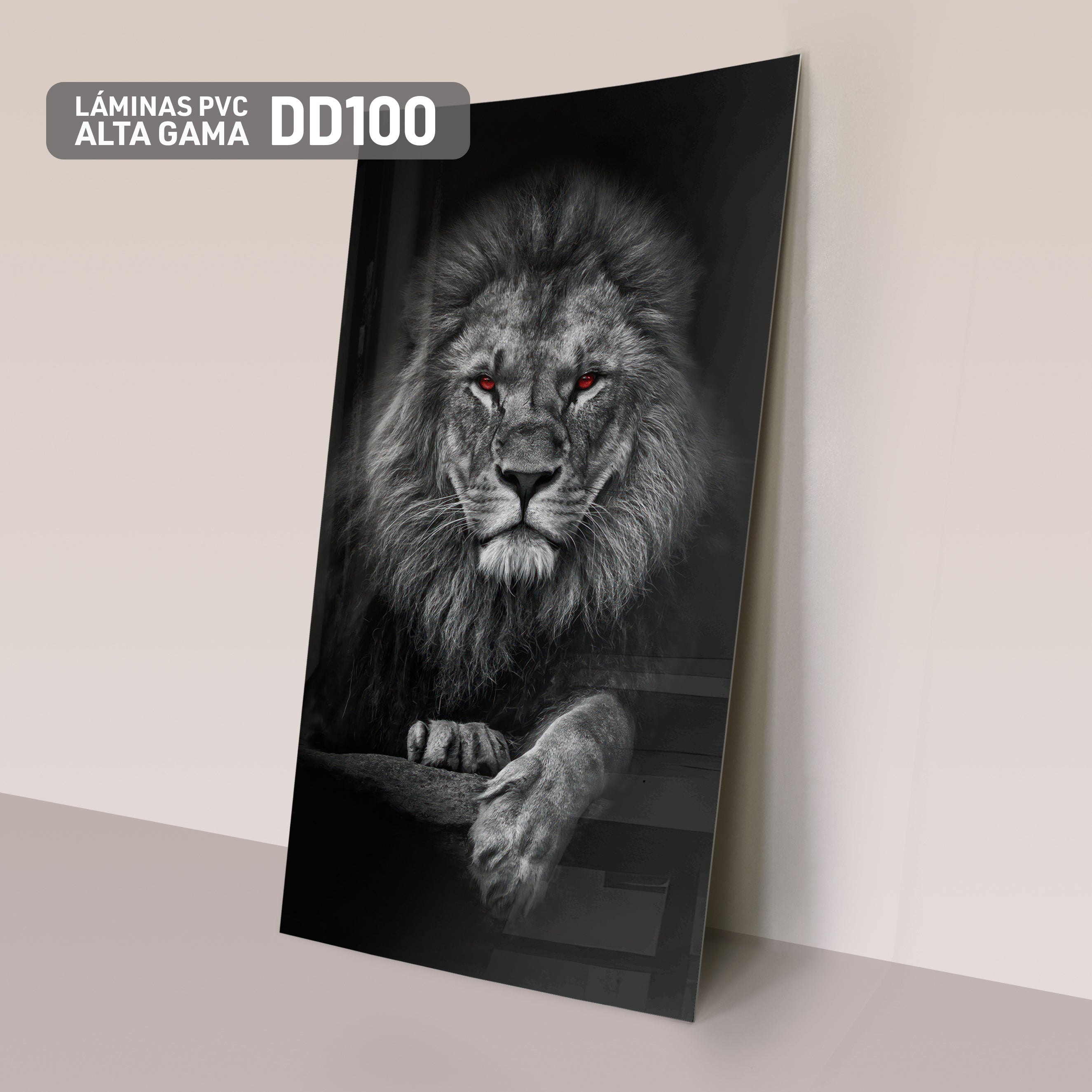 Láminas PVC de Figura DD100