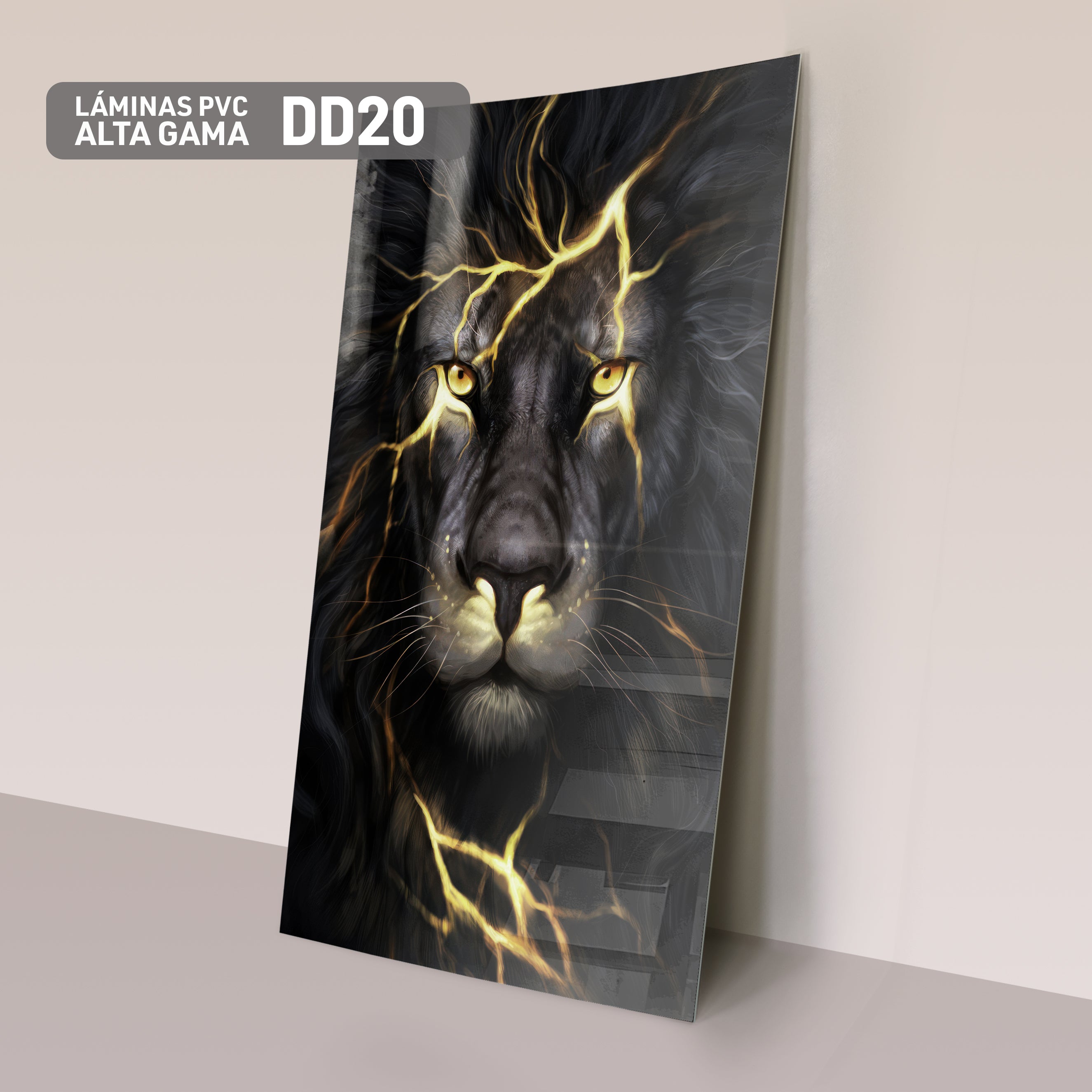 Láminas PVC de Figura DD20