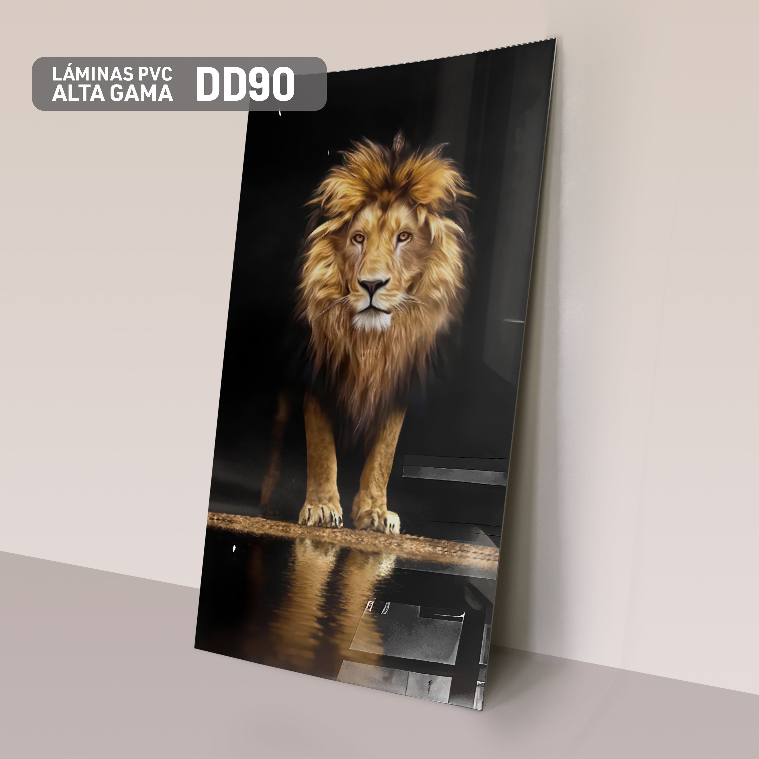 Láminas PVC de Figura DD90