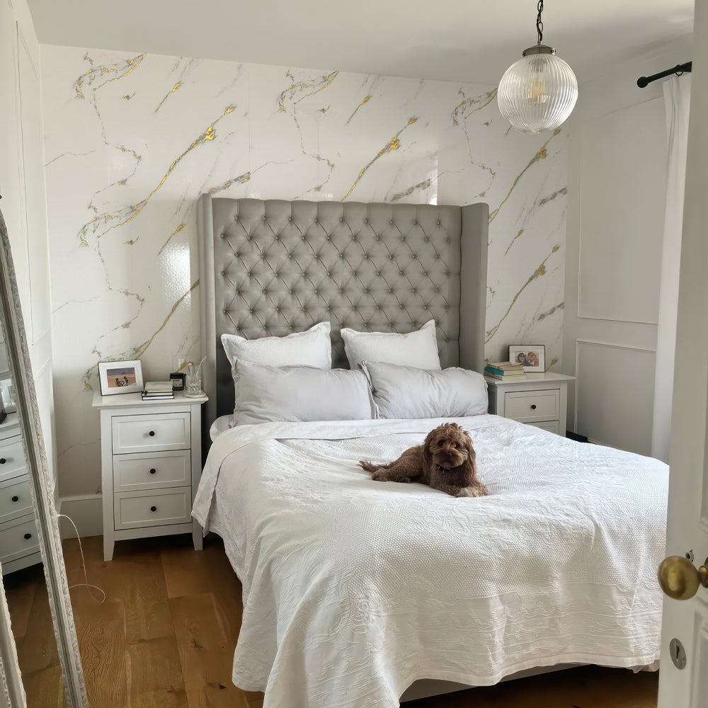 Lámina Adhesiva BS09